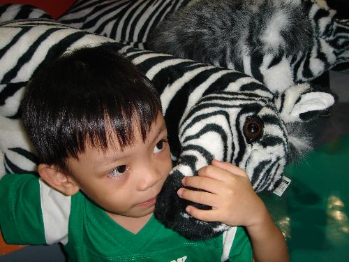 Stuffed Toys - Zebra