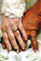 Weddings - Weddings is the best way to do it with your sweetheart.