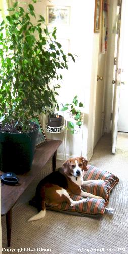 Buster - Buster and homegrown nature. Buster - Buster and homegrown nature.