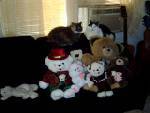 Jakie and the gang - The picture is of my cats Jake and Scoots, and just a few of my teddy bears.