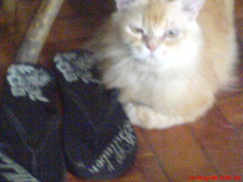 billabong model - that's my daughters slippers.doing some photography.lol