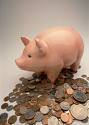 Piggy Bank - Saving a single penny everyday leads to great amount some other day.