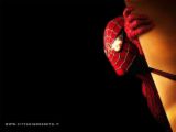 spiderman - spiderman