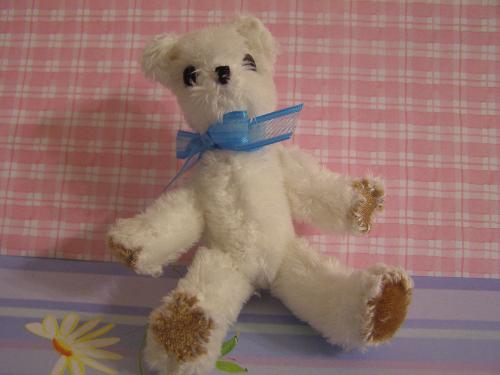 rufus - bear