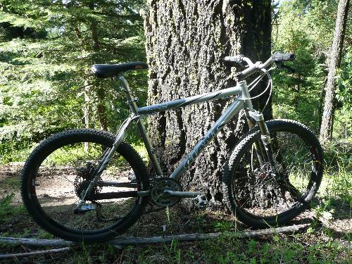 Giant Iguana Disc - My friend's custom-made mountain bike, build with a Giant Iguana Disc frame.