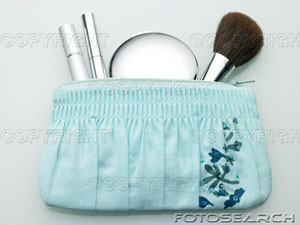bag - cosmetics bag