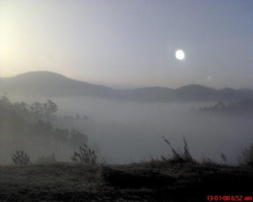 sun - Sun in canvas, very beautiful.