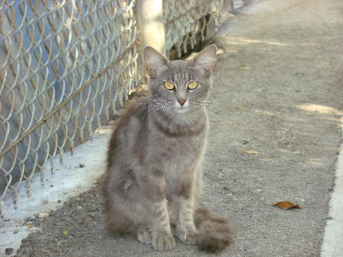 Missing since between Feb and April 2008 - Here is another who has been taken away from me.