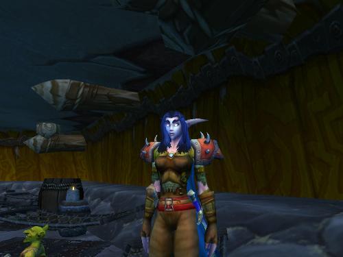 Night Elf Female Rogue - Night Elves are some of the most beautiful characters in the game.
