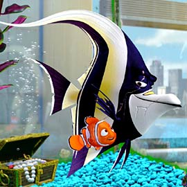 Nemo - Nemo in the aquarium with Gold
