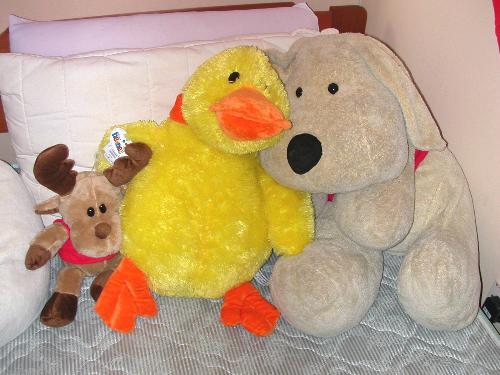 My Little Buddies - My friends who listen to my grumbles, welcome my hugs and lull me to sleep each night