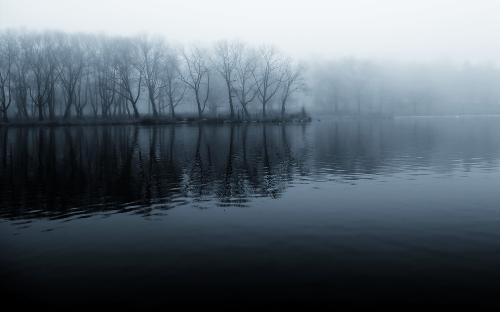 Foggy Morning - Photo taken on a morning covered with Fog.