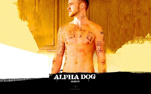 justin timberlake - justin timberlake's alphadog wallpapers