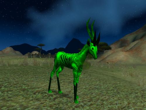 Sick Animal - A poor sick little gazelle.