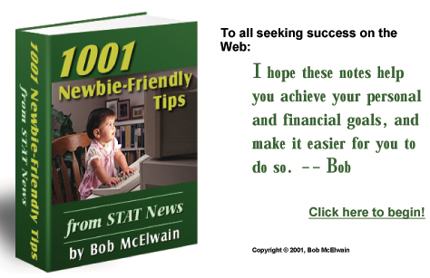 1001 Newbie Friendly Tips - If you want to be successful online read this book.