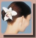 Chignon Bun - elegant hairstyle