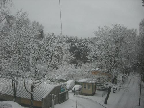Winter in Jurmala, Latvia - WIinter in Jurmala :)