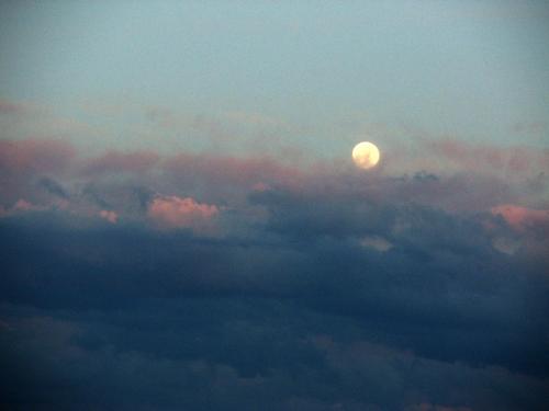 Moonrise - Just a cool pic (I think) of the moon in the early evening sky