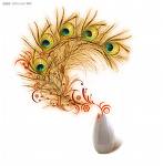 attract - attracting