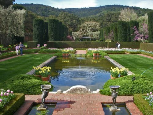 An English Garden - The Garden