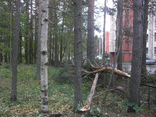 Storm in Jurmala - There was a big storm in Jurmala, Latvia 13.10.07 ;)