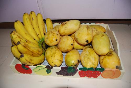Fruit Basket - Favorite Fruits