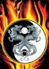 Ying Yang and Dragons ! - I had a freind of mine use this pic for a b-day card for me ! after that i fell in love woth it. !