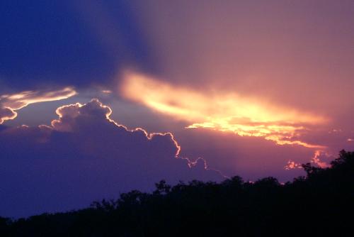 Picture taken at sunset - This is a picture we took at sunset. I thought it was a beautiful picture. I hope you enjoy it!