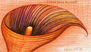 'Orange Calla Lily' by Nina Kuriloff - This is a small-sized drawing that I created using pens on paper.