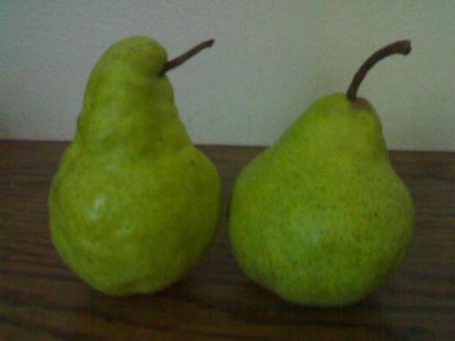 Fruits - Living with Fruits
