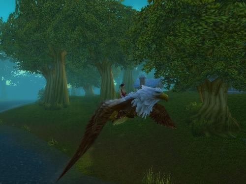 In Flight - While in flight no actions can be taken so it's a good time to review your quest logs or stretch your legs.