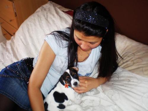My dog xena - She is so cute and innocent when she's young.She become demolisher when she got old..She like to bite wood and furniture..
