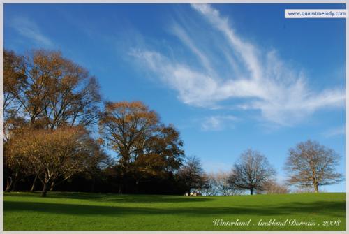 Wintry Domain - A winter day at the Auckland Domain, New Zealand.