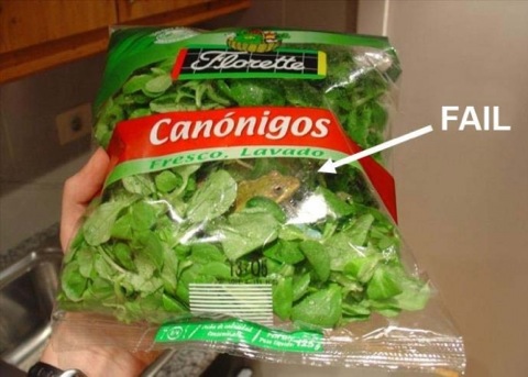 Inspection Epic Fail - More than microbes got past the inspectors in THIS bag of spinach!
