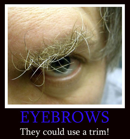 Do these eyebrows need to be manscaped - It goes back to the discussion question. Are eyebrows considered facial hair?
