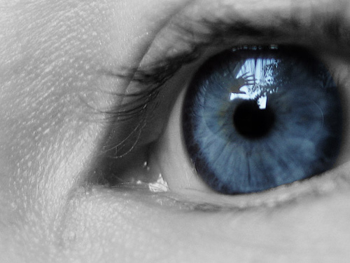 Eye - A close picture of eye Eye - A close picture of eye