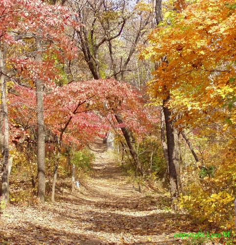 Picture at park - This was taken at a state park a couple of years ago. The fall colors were so beautiful.