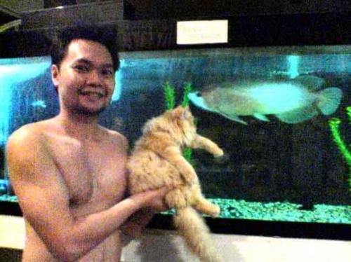 myself , garfield-my girlfriend's cat and goliath  - here you can see how my pet arowana competes getting my attention from our cat.