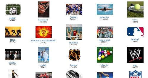 Mylot Interest  - Teams that I cheer for and sports that I enjoy.