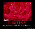 destiny - I don't believe in destiny, I believe in going and getting what you want.