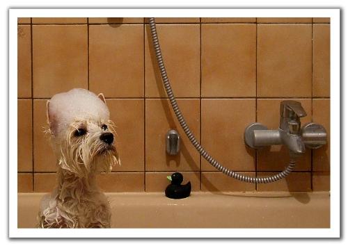 cleansing - time