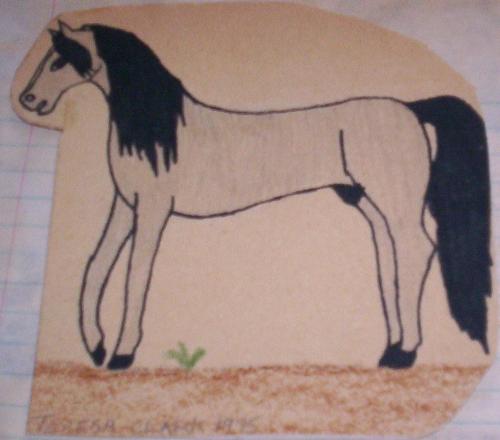 I drew this horse when I was a kid - Most of the horses that I drew when I was growing up were wild horses. All that freedom appealed to me I think! LOL