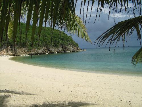 beach beauty - taken from a beach in quezon province ! white sand and blue skies, hot sun and very secluded !