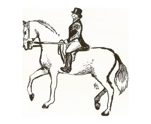 dressage pen and ink - One of my pen and ink's : horse selection