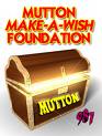 wish - wish foundation