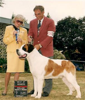 saint show dog - i love saint family. saints of all.do u