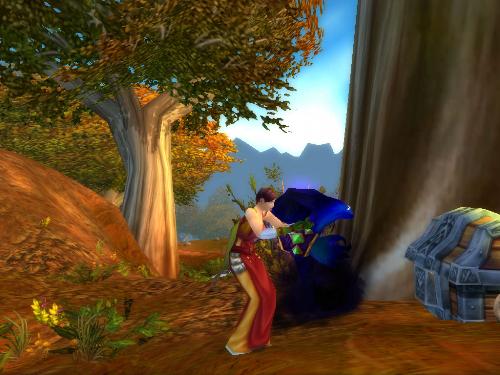 Chests - Chests pop up all over the WoW world and provide players with a bit of free stuff.