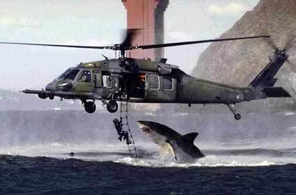 Jaws gets revenge! - Jaws gets revenge