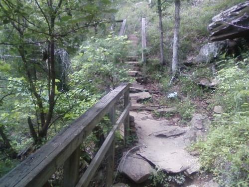 Hiking Trail - This is part of a hiking trail on the Chinabee trail in Alabama.