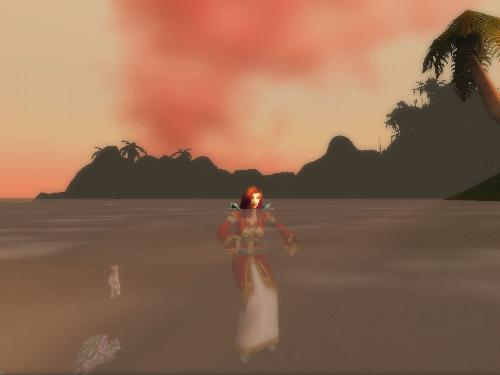 Non-combat Pets - Pets such as the tiny cat on the left will follow the player anywhere.